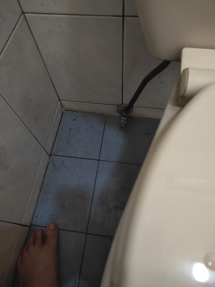 馬桶裝修案件圖片
