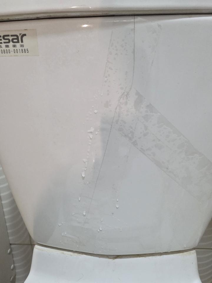 馬桶裝修案件圖片