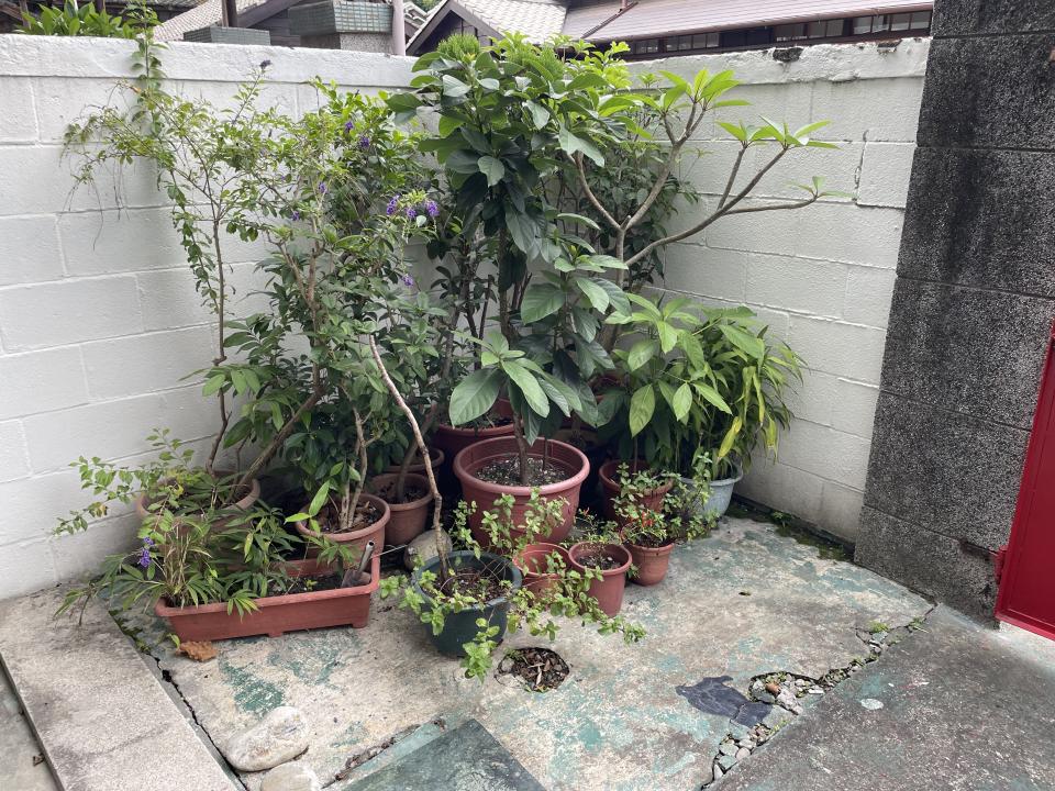 園藝維護案件圖片