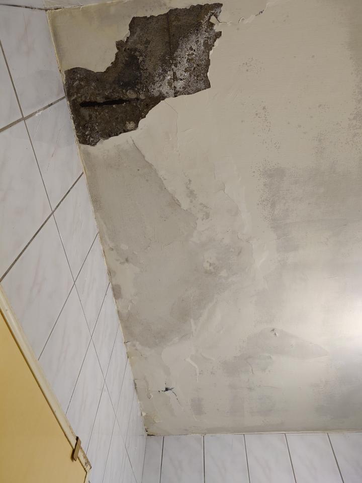 抓漏案件圖片