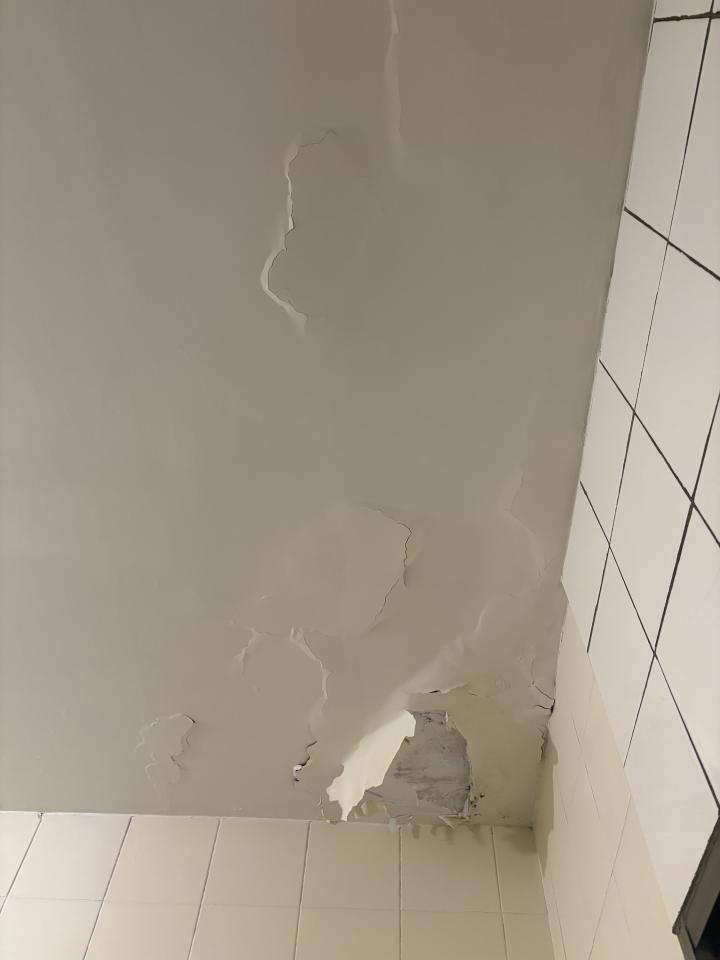 泥作/水泥施工案件圖片