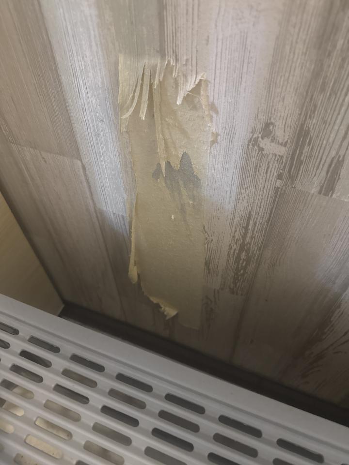 壁紙施工案件圖片