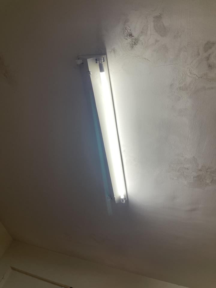 燈具安裝案件圖片