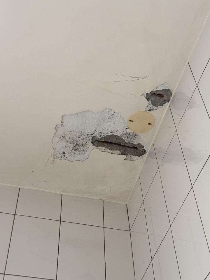 壁癌處理案件圖片