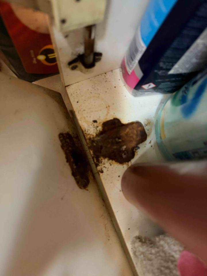 居家修繕案件圖片