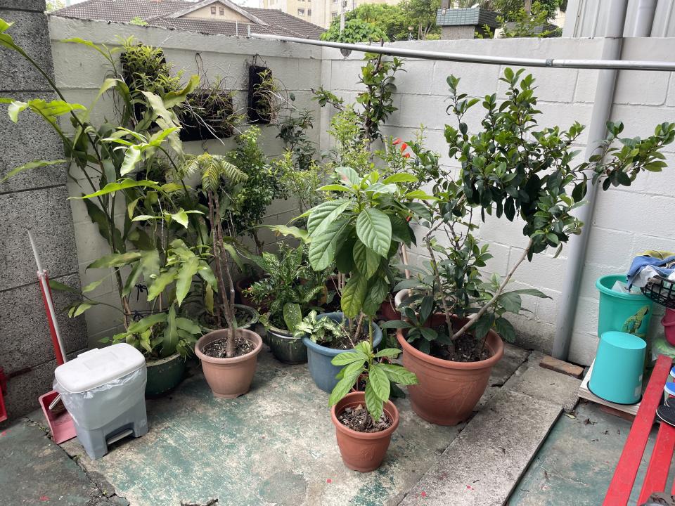 園藝維護案件圖片