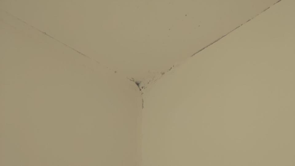 油漆工程案件圖片