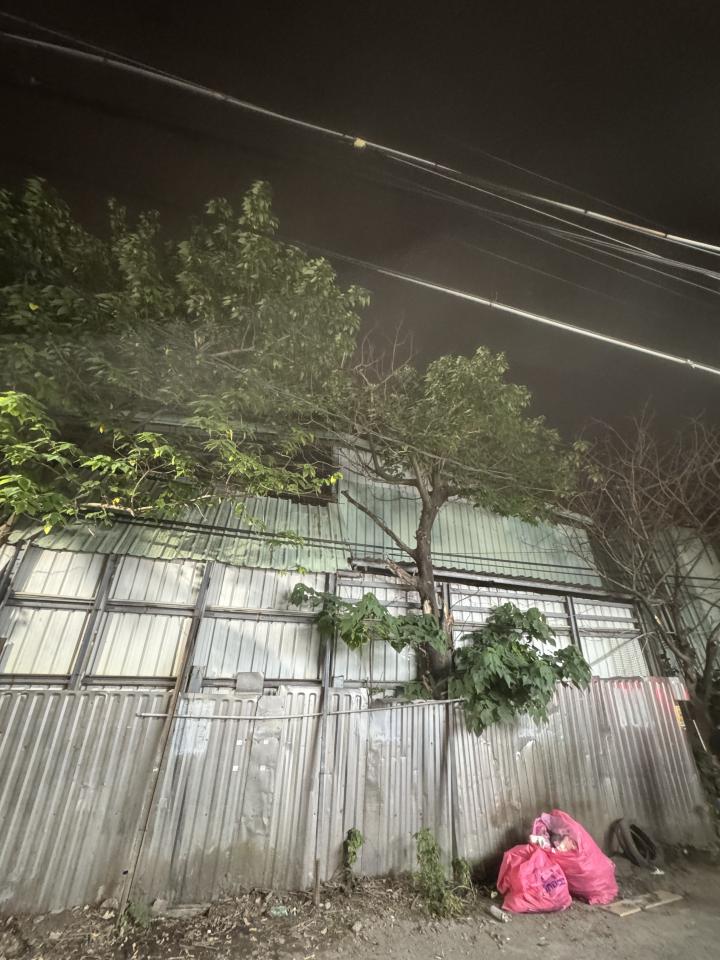 園藝維護案件圖片