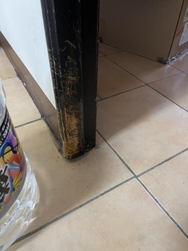 木門案件圖片