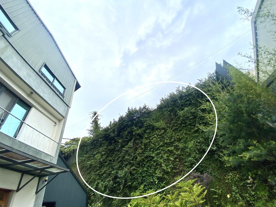 園藝維護案件圖片