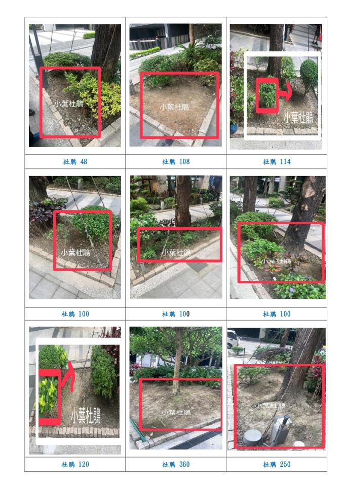 園藝維護案件圖片