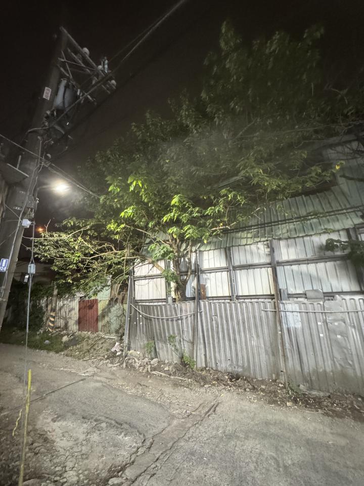 園藝維護案件圖片