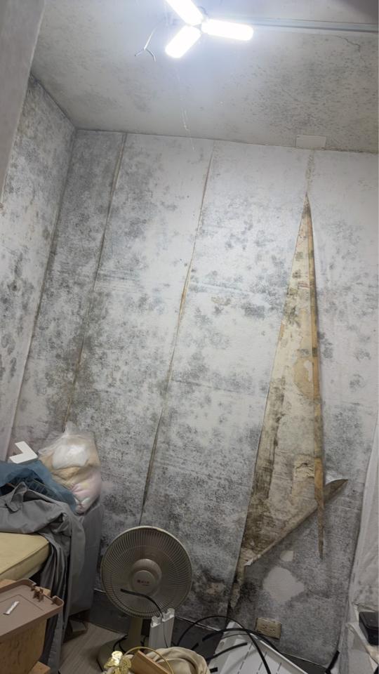 壁癌處理案件圖片