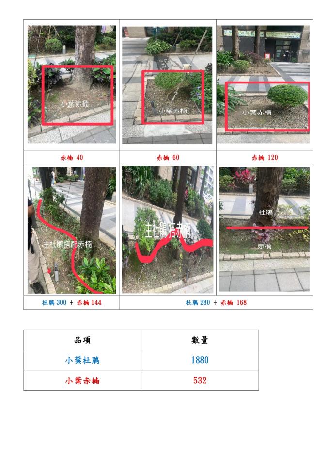 園藝維護案件圖片
