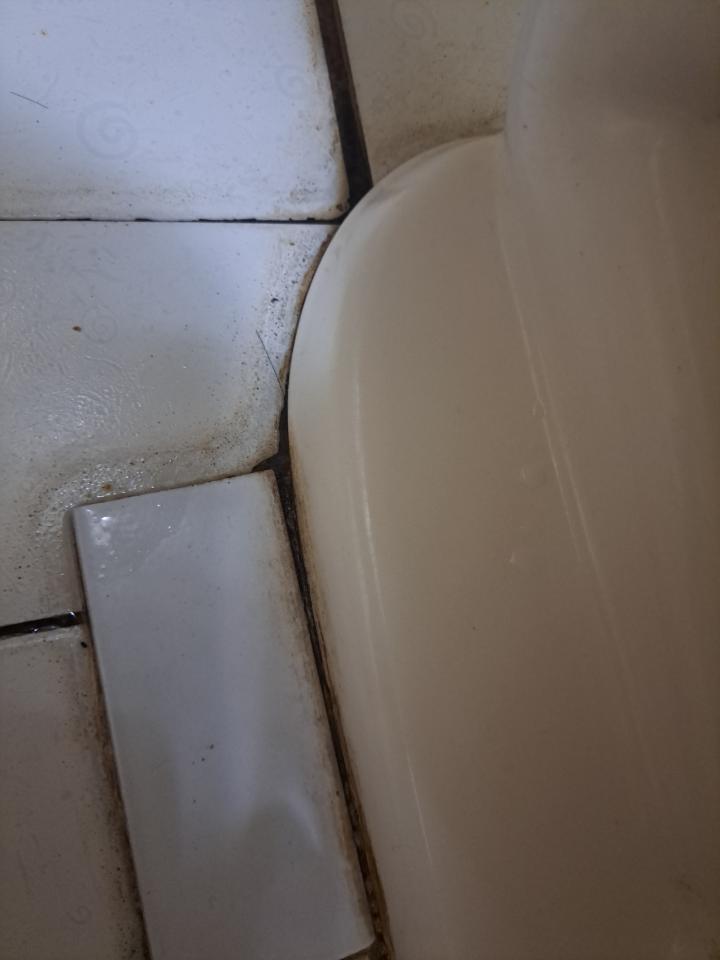 馬桶裝修案件圖片