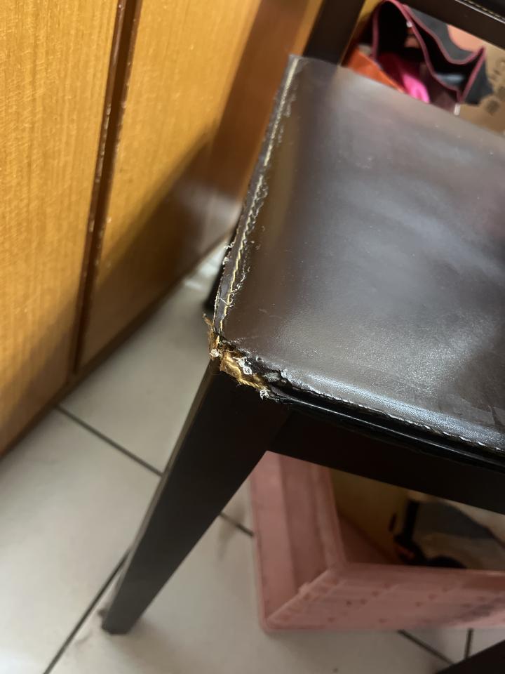 沙發修理案件圖片