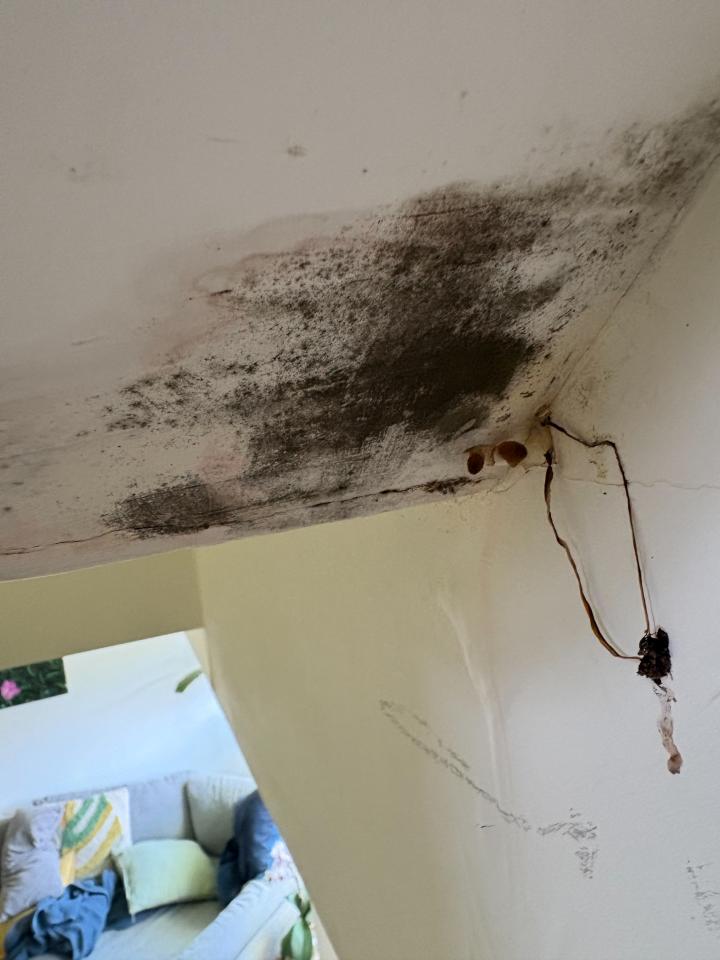抓漏案件圖片