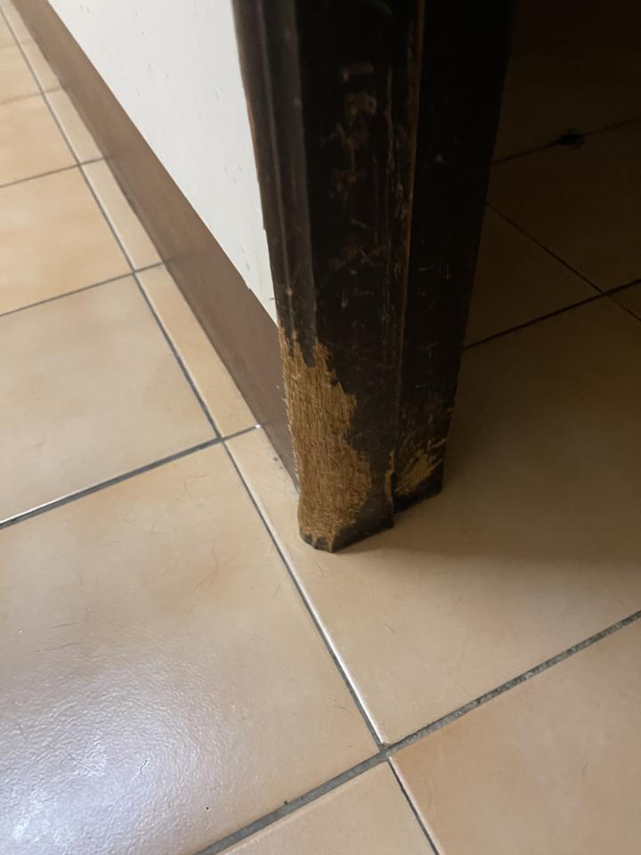 木門案件圖片