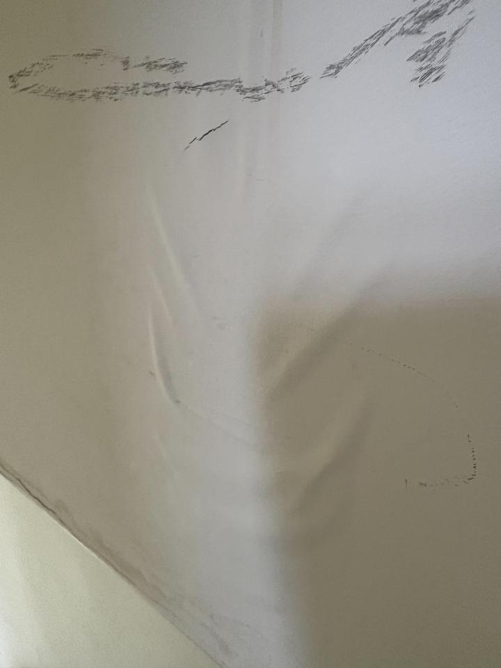 抓漏案件圖片