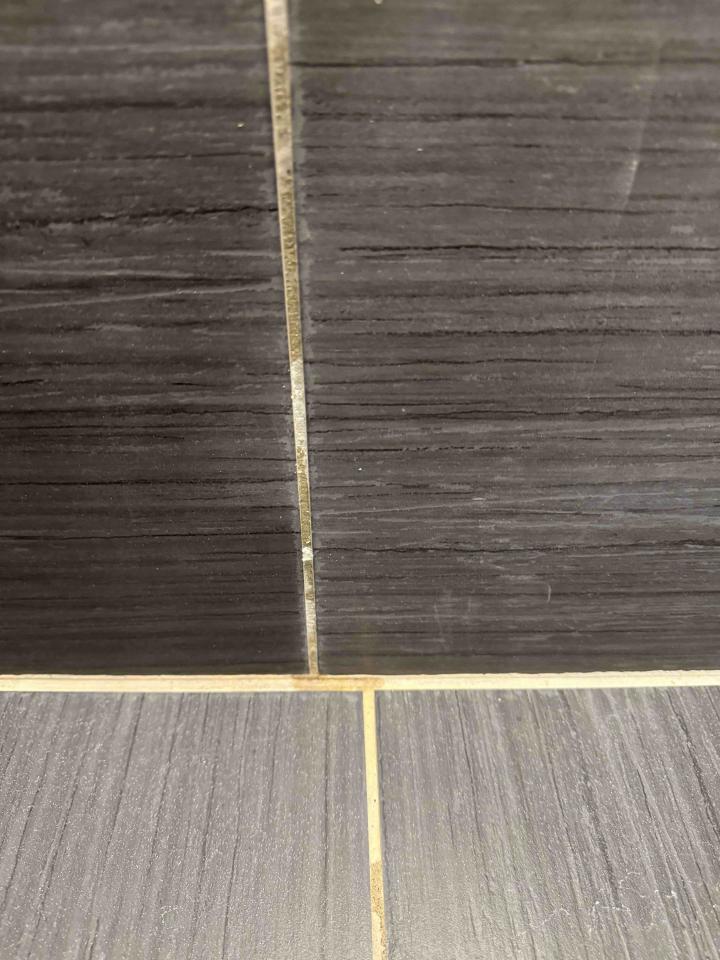 抓漏案件圖片
