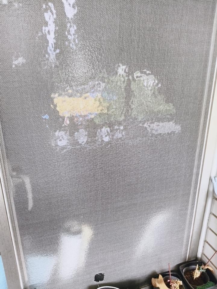 紗窗裝修案件圖片