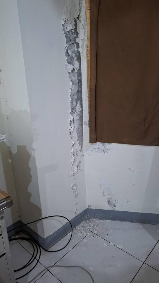 壁癌處理案件圖片