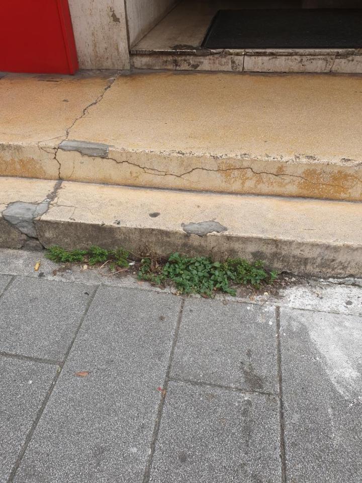 園藝維護案件圖片