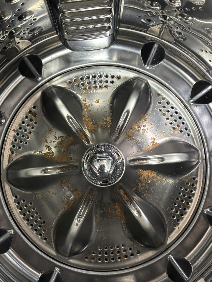 洗衣機清洗案件圖片