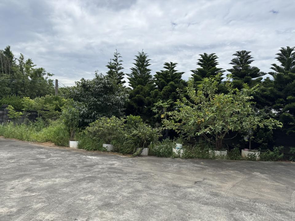 園藝維護案件圖片