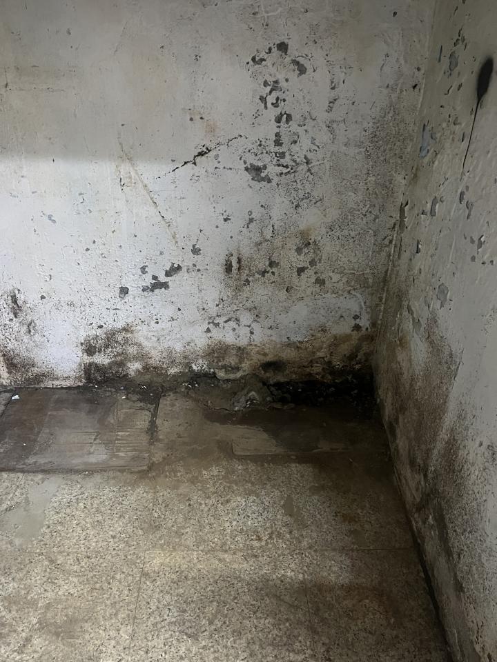 批土案件圖片