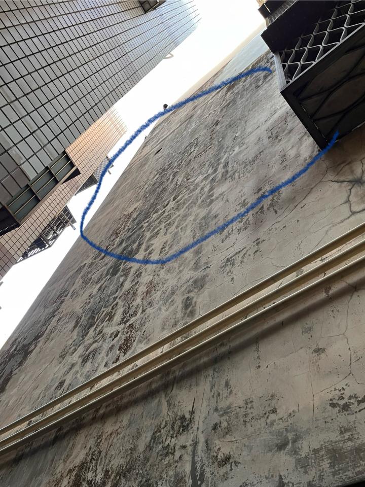 壁癌處理案件圖片