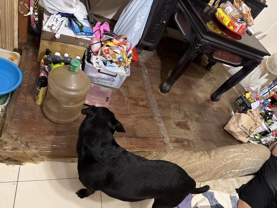 拆除工程案件圖片