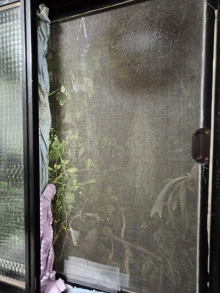 紗窗裝修案件圖片