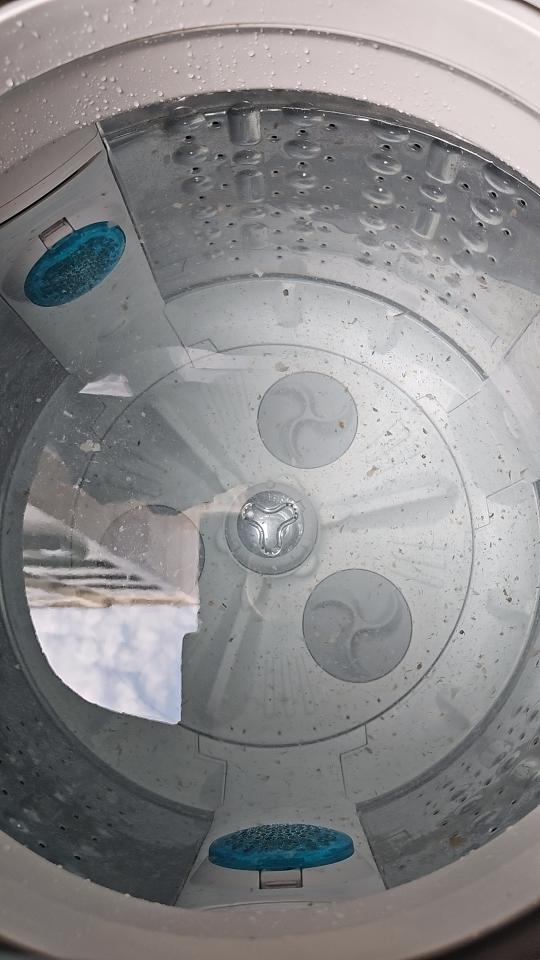 洗衣機清洗案件圖片