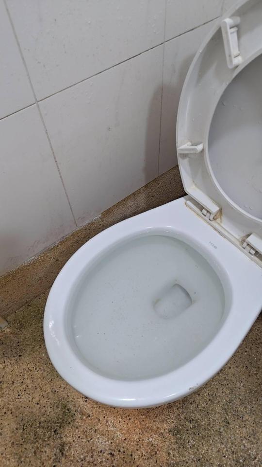 馬桶裝修案件圖片