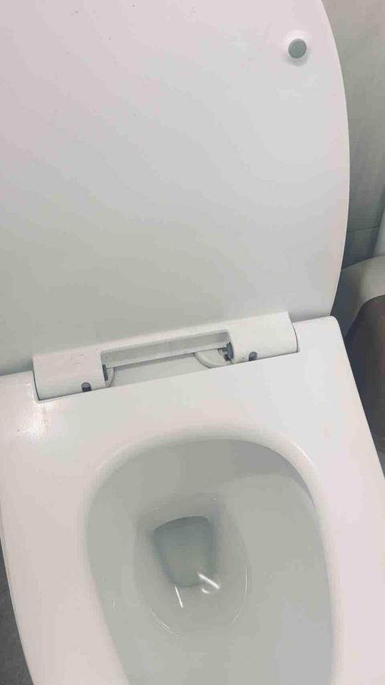 馬桶裝修案件圖片