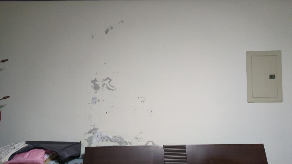 壁癌處理案件圖片