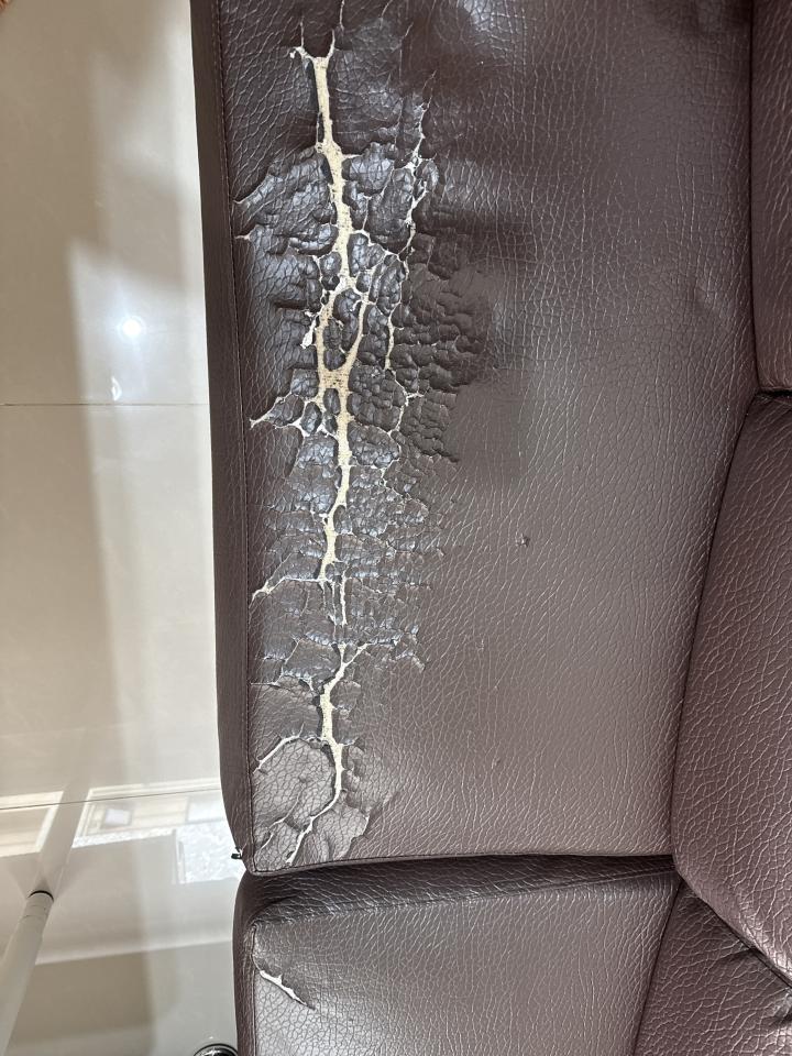 沙發修理案件圖片