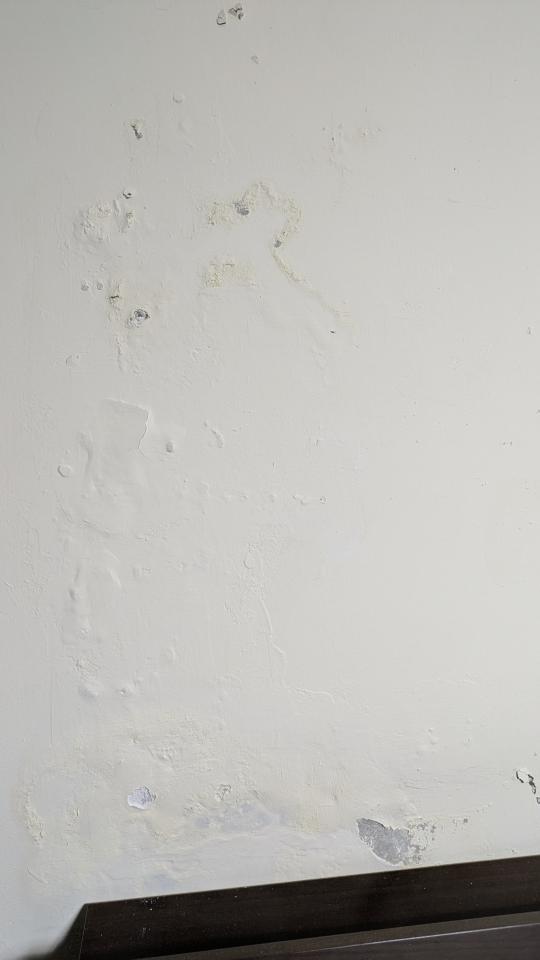 壁癌處理案件圖片