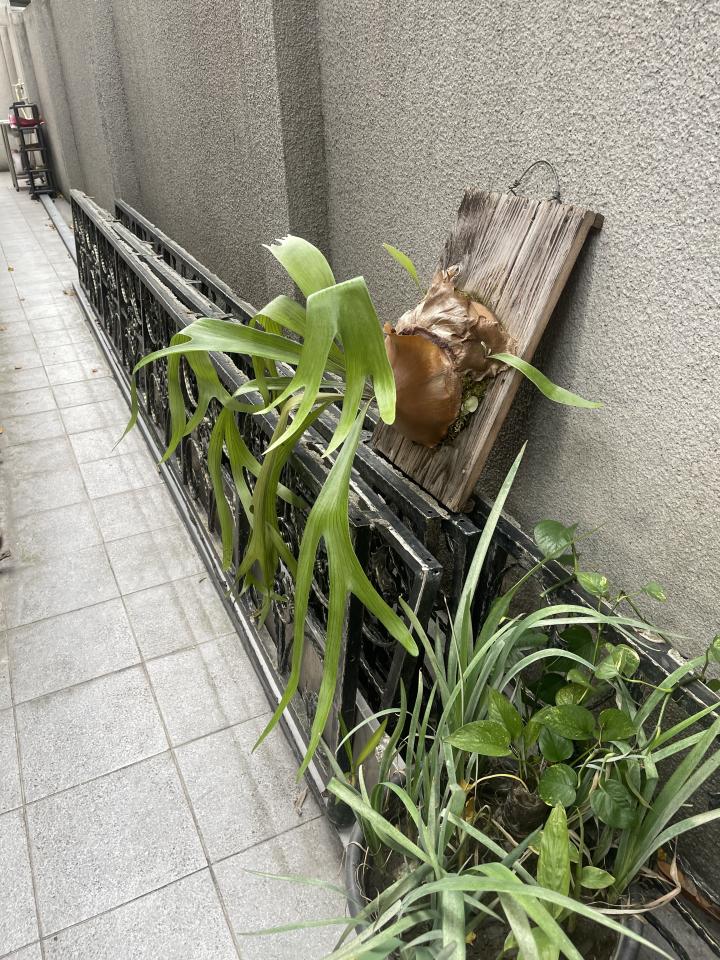 大型垃圾回收案件圖片