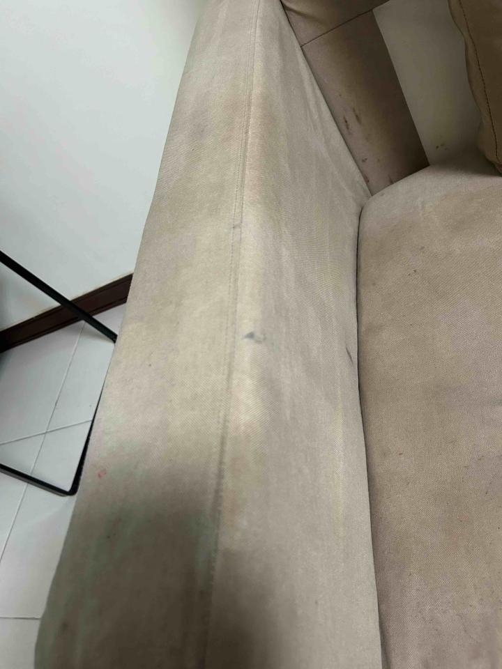 沙發清潔案件圖片