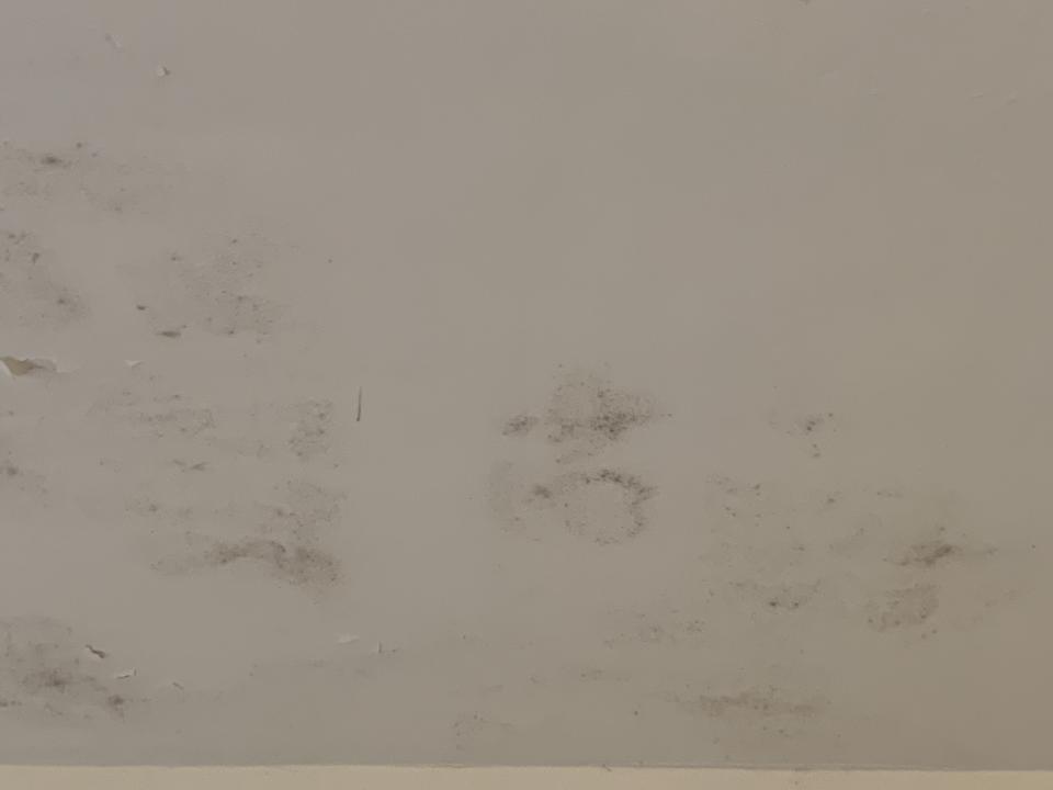 屋頂防水案件圖片