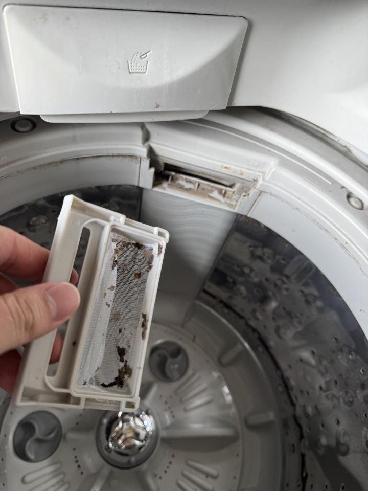 洗衣機清洗案件圖片