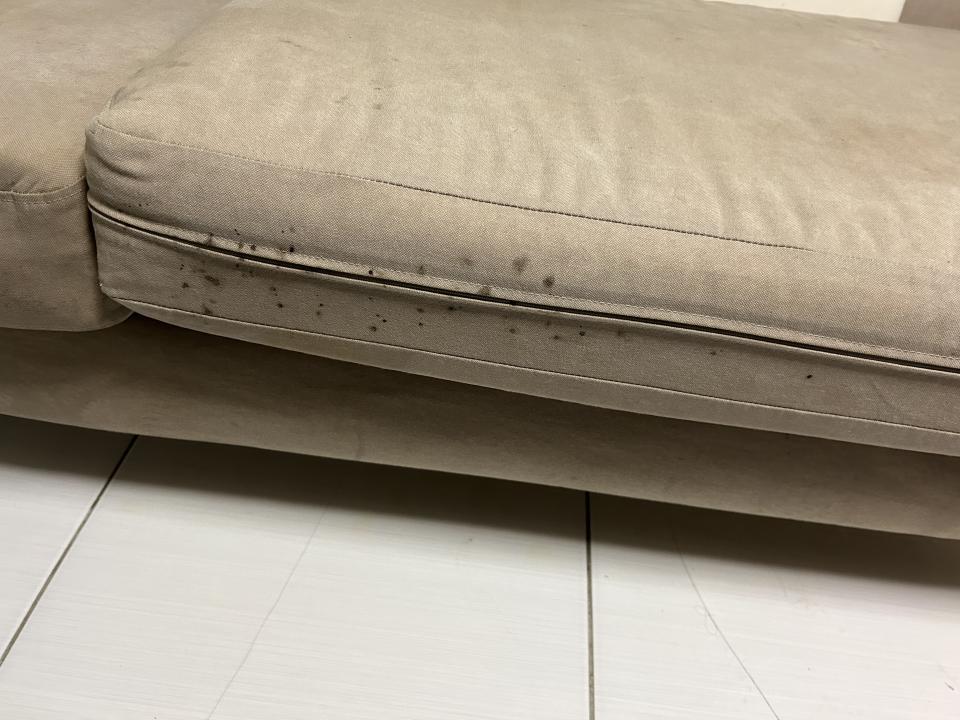 沙發清潔案件圖片