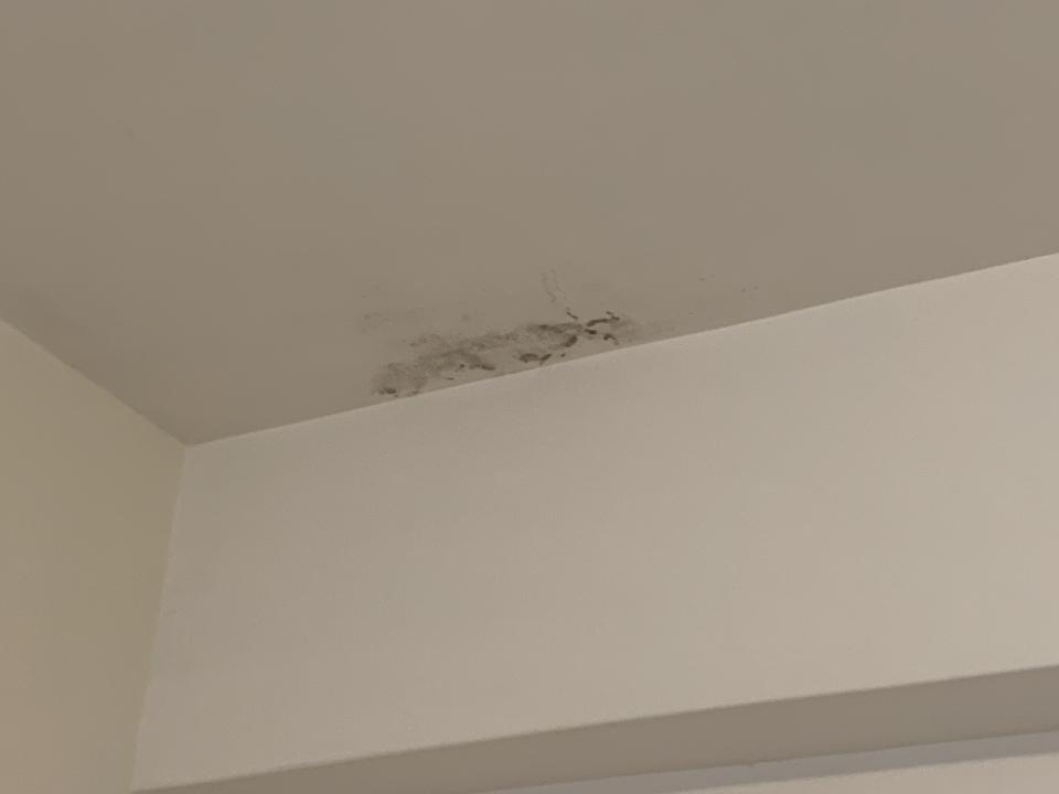 屋頂防水案件圖片