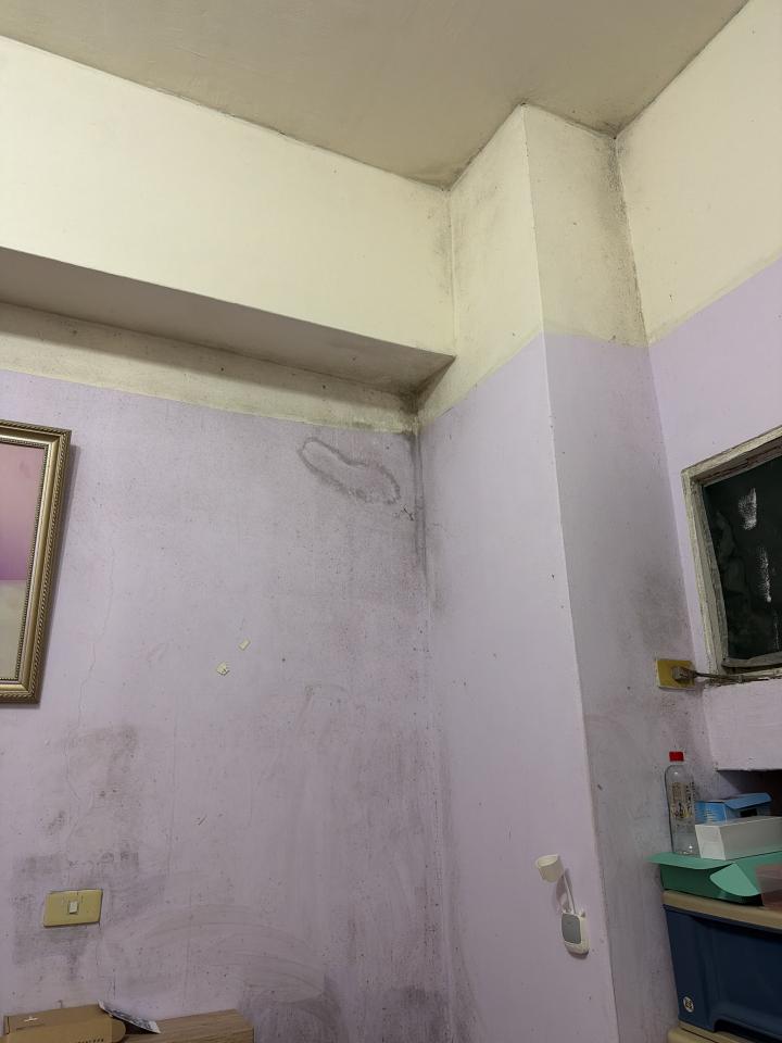 除霉案件圖片