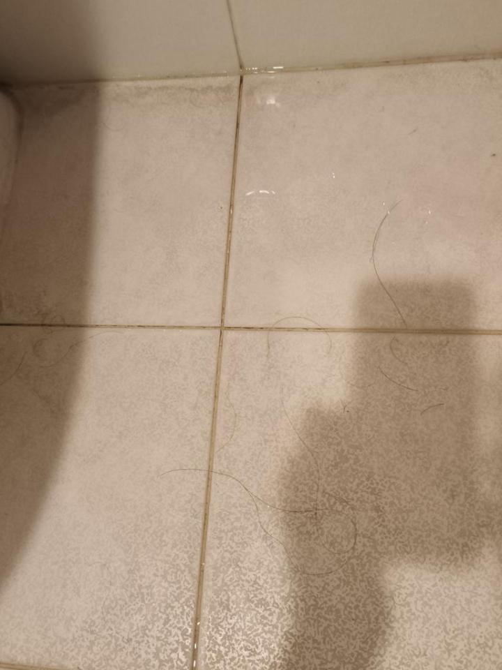 抓漏案件圖片