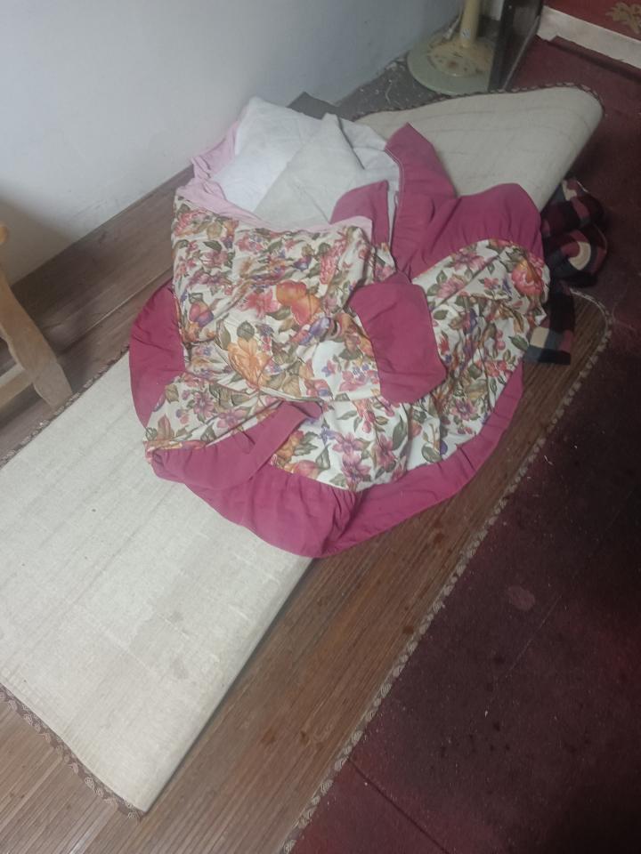 代收垃圾案件圖片