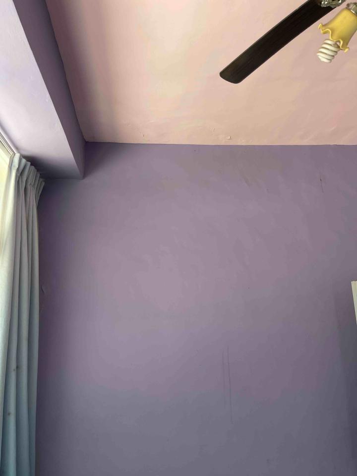 油漆工程案件圖片