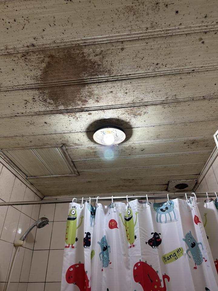 除霉案件圖片